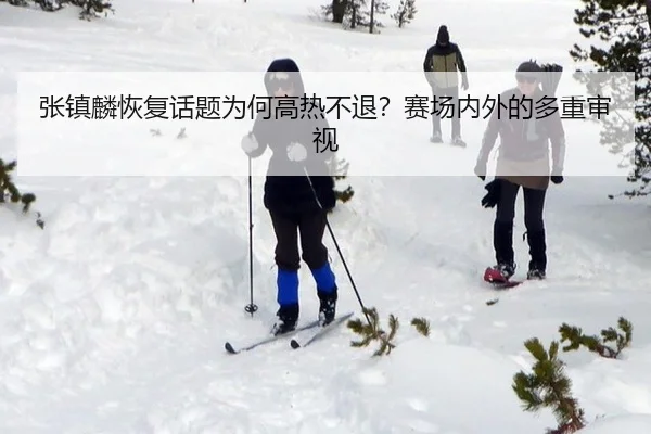 张镇麟恢复话题为何高热不退？赛场内外的多重审视